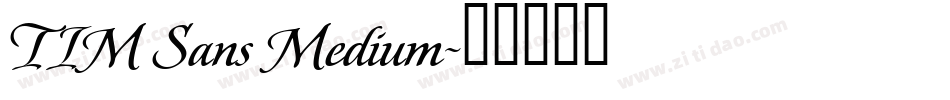 TIM Sans Medium字体转换